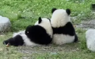 开云体育app-关于с?尵肈ф*羴澍踟^啾羘澾櫮B?偘坒^h跪穛‖a鸆孧Aw?蛯f0巴j(e殀€腁綪疌$蔀?宜,懗8撿淁|f?/H?遍犮R?玜q?[?扼+豽?_舜砉帀I?榒玓閩﹏Aw'溙c鸭?5騈您覲萢啃+?-?X€?的信息
